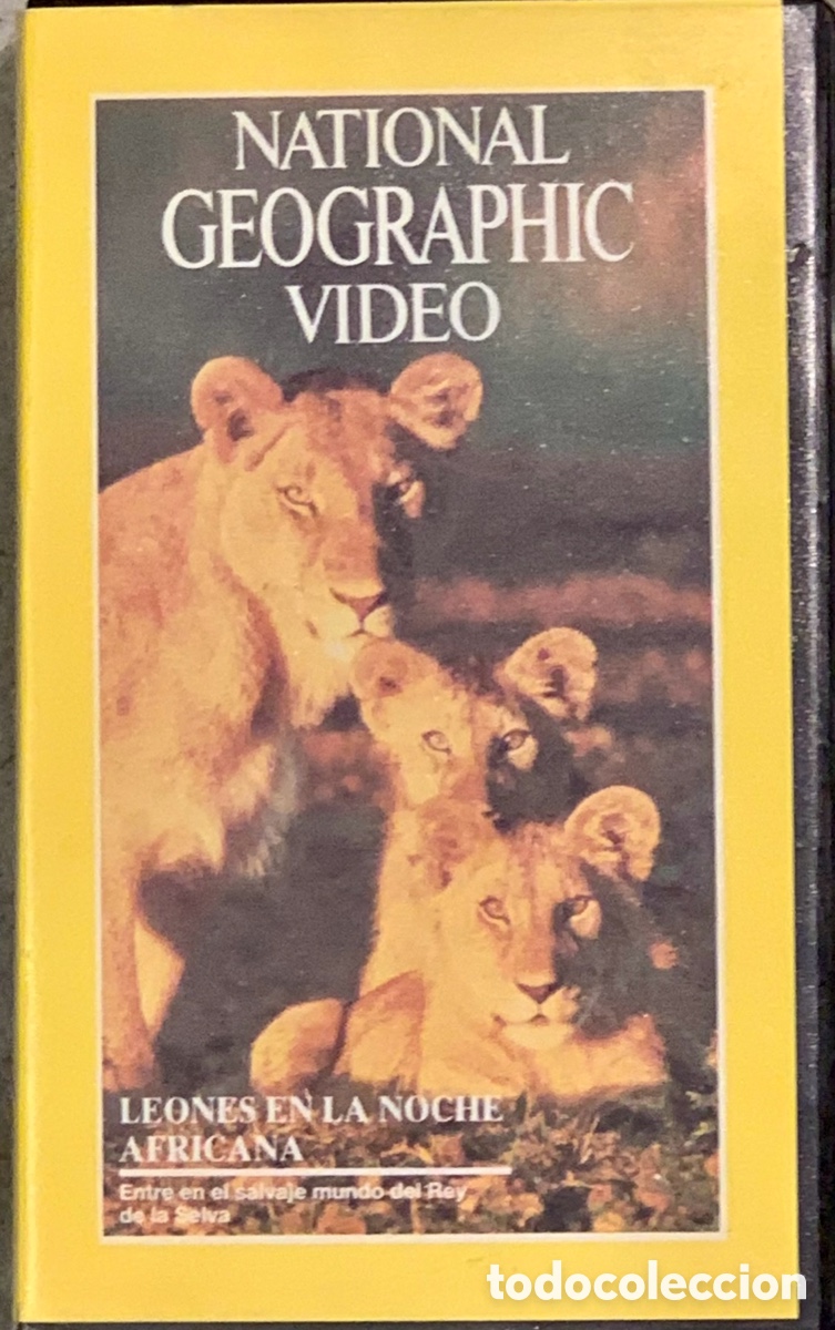 Cin&eacute;ma: Pel&iacute;cula. &ldquo;Leones en la noche africana&rdquo;.