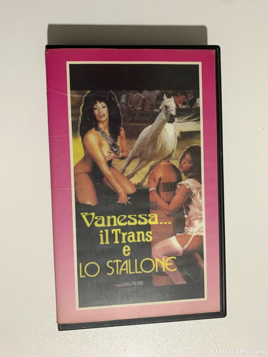 c 39 - vanessa...il trans e lo stallone vhs vid - Compra venta en  todocoleccion