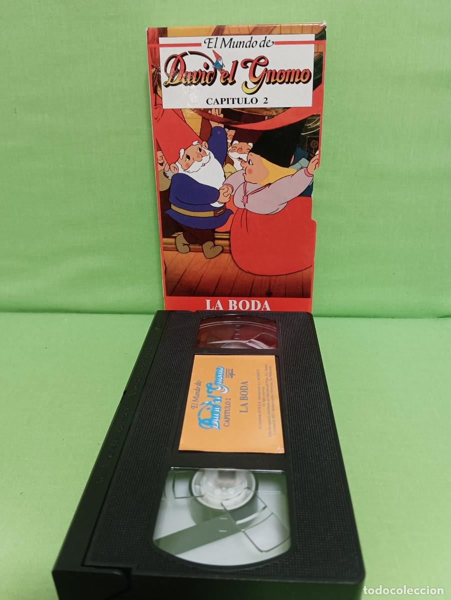 Cine: VHS David el Gnomo cap&iacute;tulo 2 - Foto 1