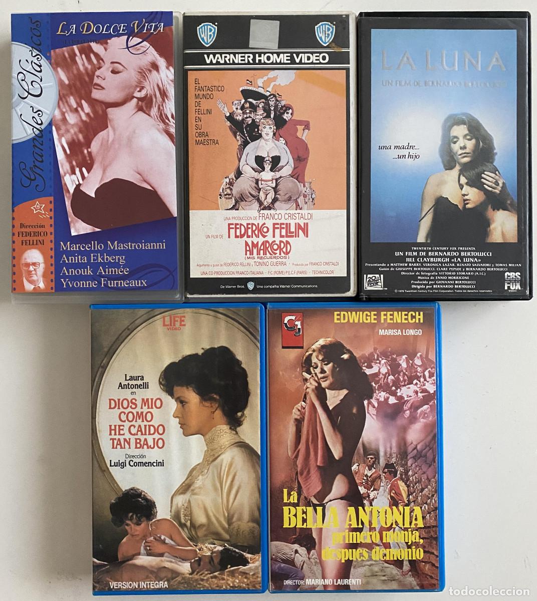 lote cine italiano -dolce vita-amarcord-la luna - Compra venta en  todocoleccion