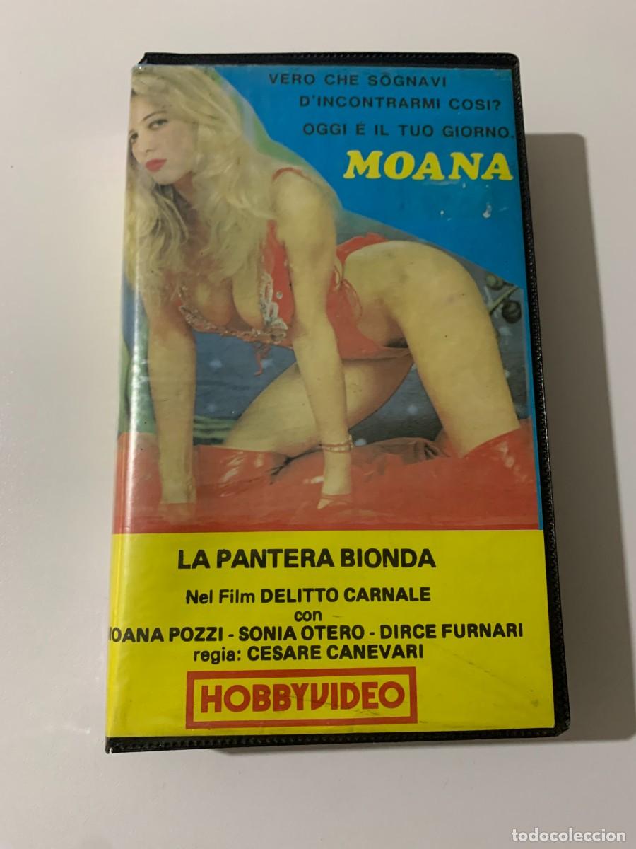 delitto carnale vhs pal hv24 moana pozzi dirce - Compra venta en  todocoleccion