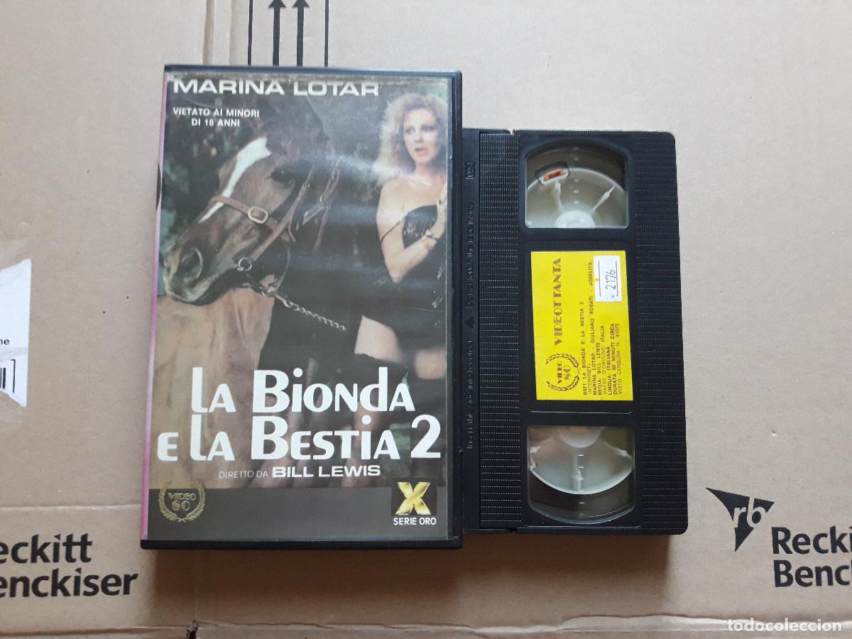 la bionda e la bestia 2 vhs video 80 marina lot - Acquista Film di cinema  in VHS su todocoleccion