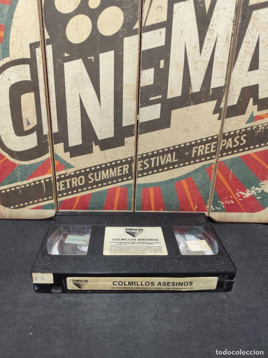 Cinema: S&oacute;lo cinta VHS 53 Colmillos asesinos