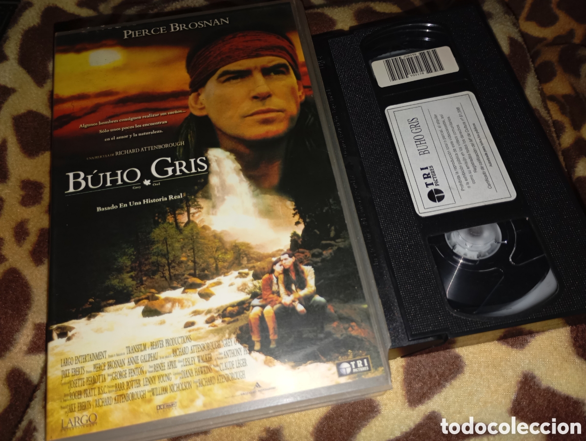 Cine: B&uacute;ho gris- vhs- video club