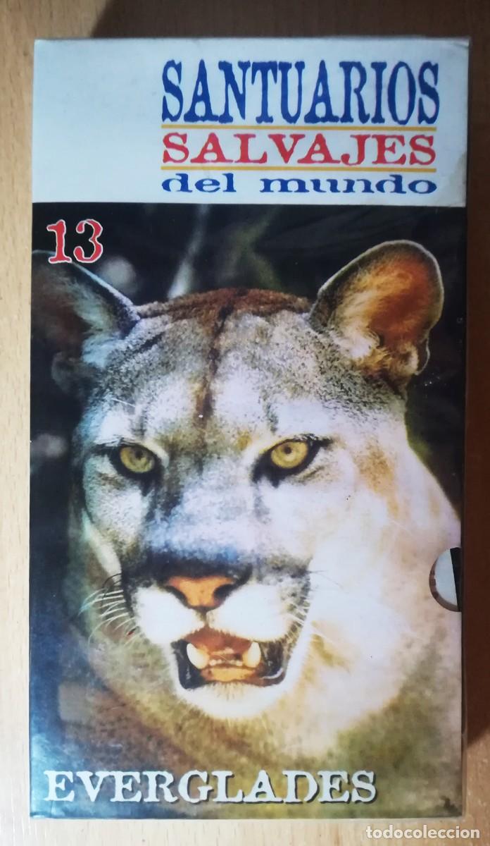 Cine: TODOVHS: Precintado. Santuarios Salvajes del Mundo N&ordm; 13 - Everglades.