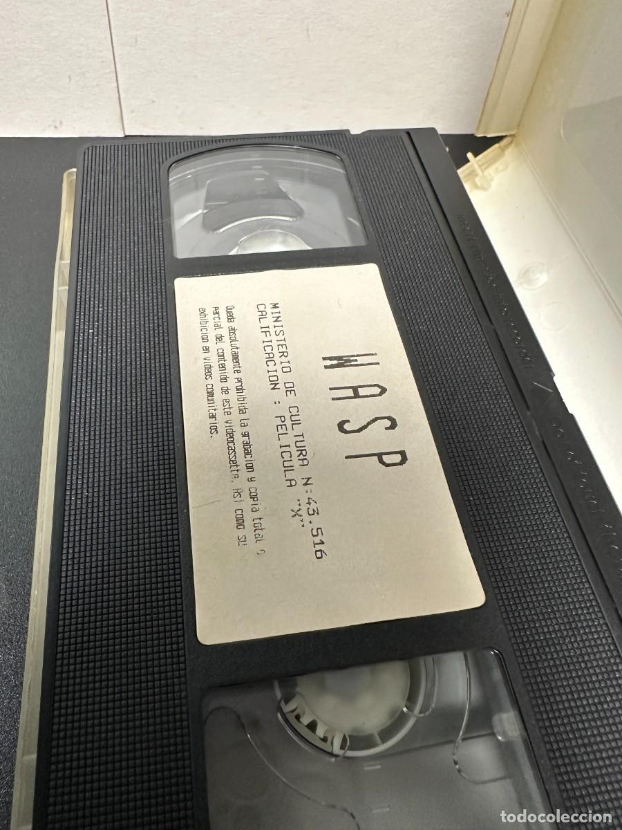 Cine: Taylor Wane WASP La Avispa (VHS) - Foto 3