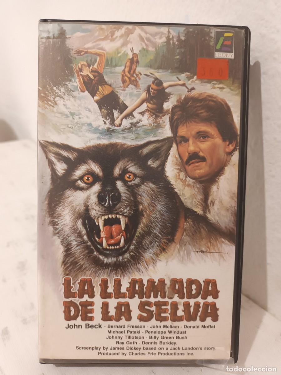 Cine: Pelicula vhs La llamada de la selva - Foto 1