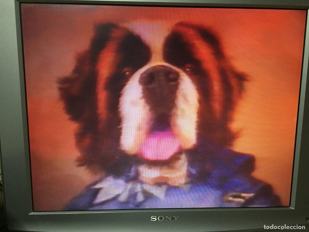 Cine: Vhs Beethoven 4 - David Mickey Evans - Foto 6