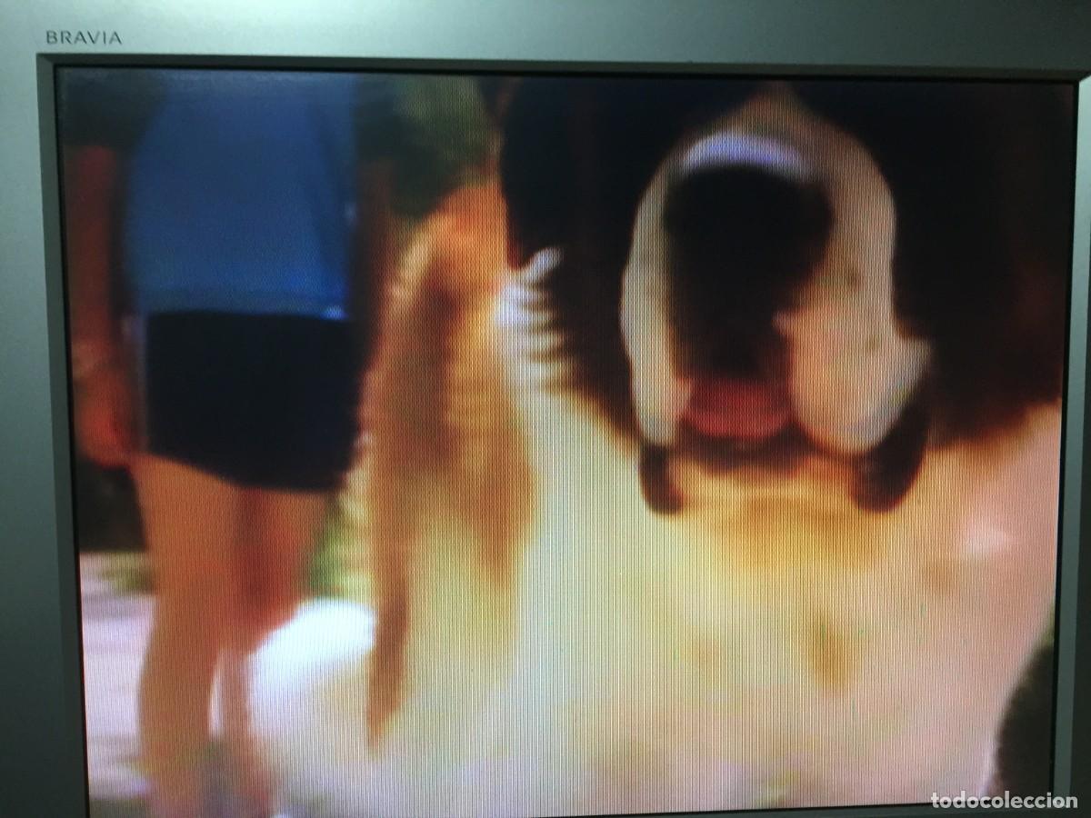 Cine: Vhs Beethoven 4 - David Mickey Evans - Foto 11