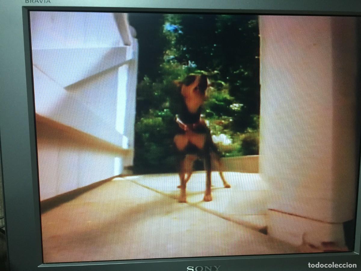 Cine: Vhs Beethoven 4 - David Mickey Evans - Foto 12