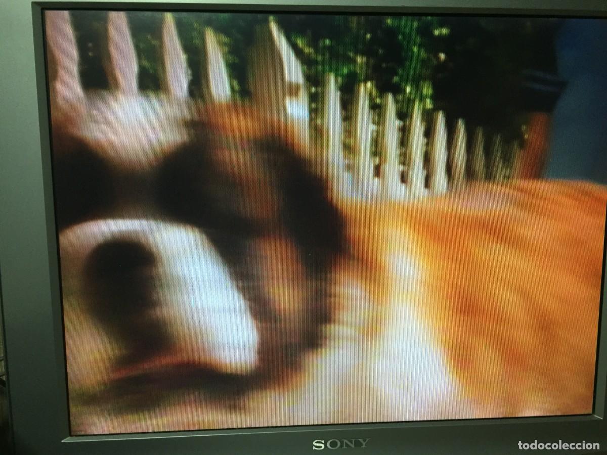 Cine: Vhs Beethoven 4 - David Mickey Evans - Foto 13