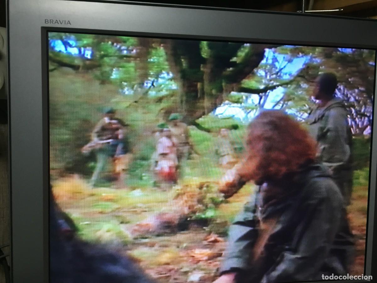 Cine: Vhs Gorilas en la niebla - Michael Apted - Foto 7