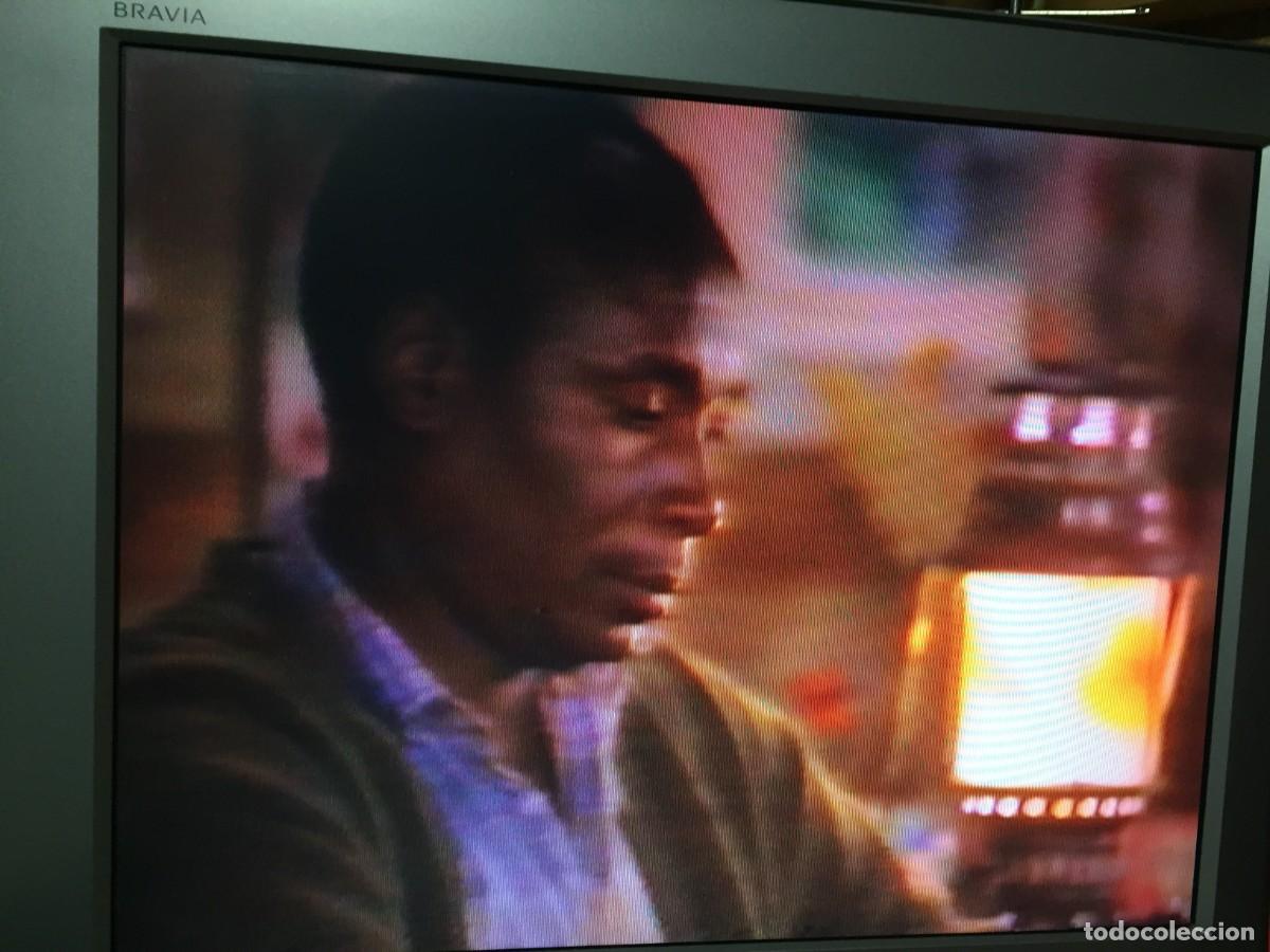 Cine: Vhs Gorilas en la niebla - Michael Apted - Foto 8
