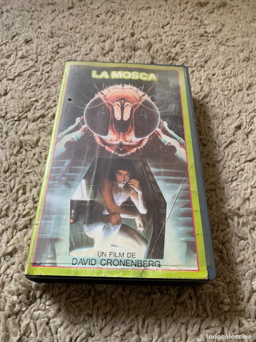 Cine: VHS TERROR. LA MOSCA. CRONEMBERG - Foto 1