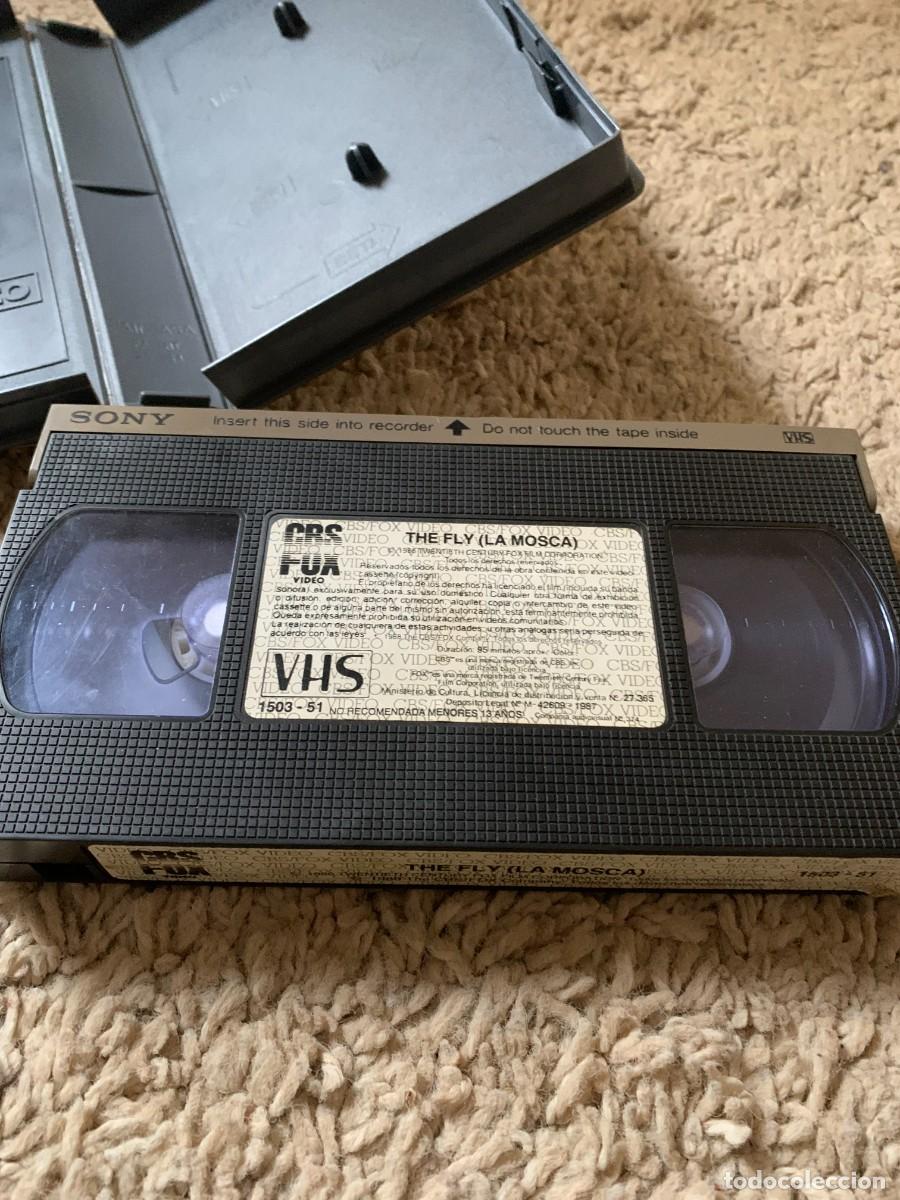 Cine: VHS TERROR. LA MOSCA. CRONEMBERG - Foto 5