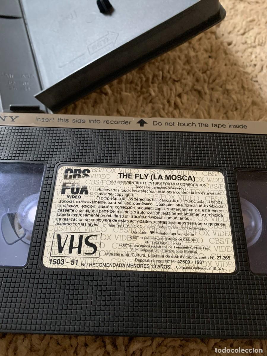 Cine: VHS TERROR. LA MOSCA. CRONEMBERG - Foto 6