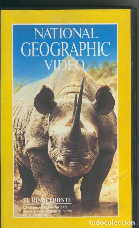 Kino: National Geographic Video VHS numero 29: El rinoceronte - Varios
