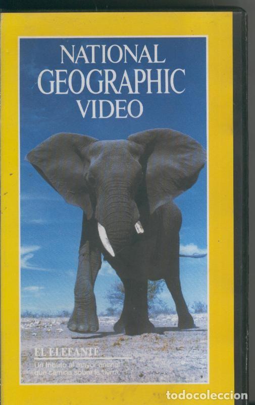 Cinema: National Geographic Video VHS numero 23: El elefante - Varios