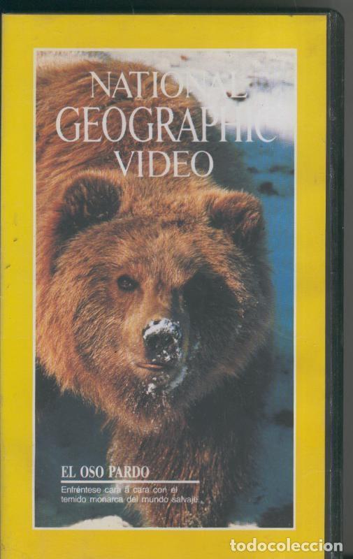 Cinema: National Geographic Video VHS numero 25: El oso pardo - Varios