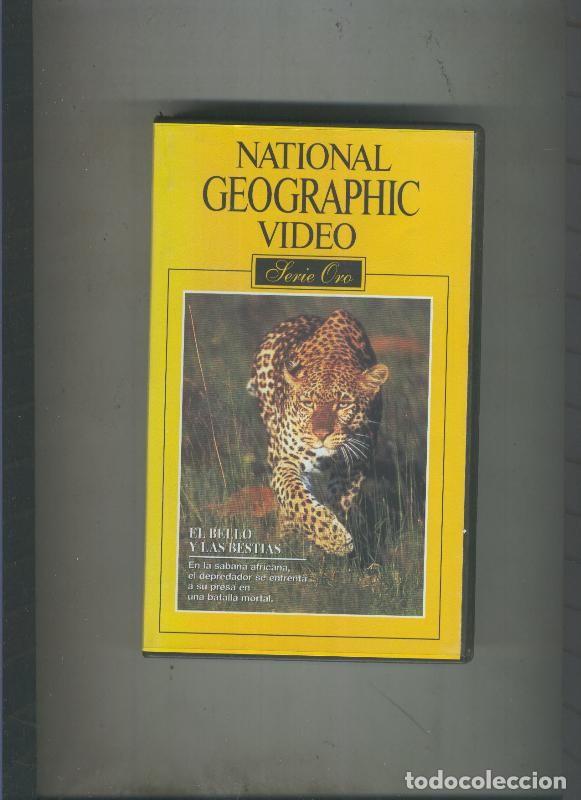 Cine: Video VHS: National Geographic serie Oro numero 08: El bello y las bestias - Varios