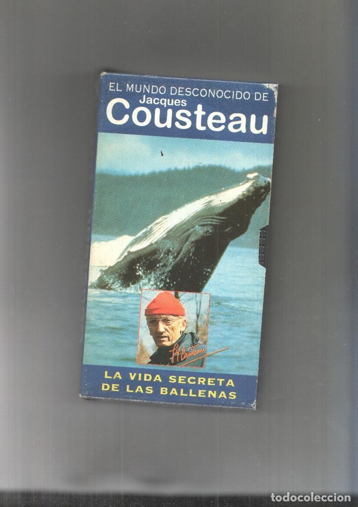 Cine: Video VHS: El Mundo desconocido de Jacques Cousteau numero 01: La vida secreta de las ballenas - Jaq