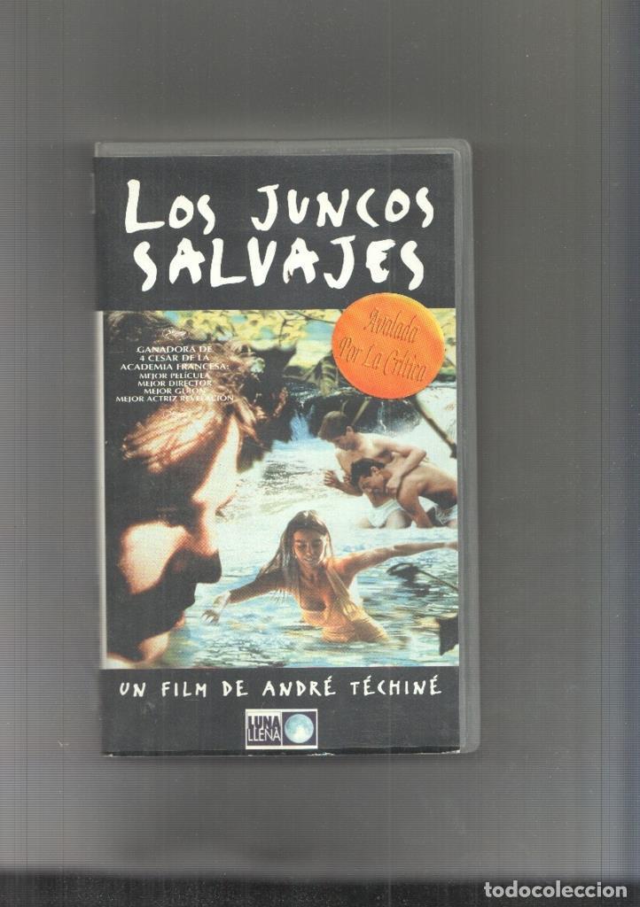 Kino: Video VHS: Los Juncos Salvajes - Andre Techine