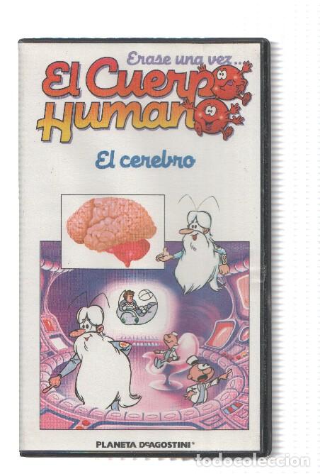 Cinema: Serie VHS: Erase una vez EL CUERPO HUMANO, Numero 08: EL CEREBRO - Procidis
