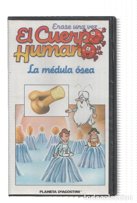 Cinema: Serie VHS: Erase una vez EL CUERPO HUMANO, Numero 11: LA MEDULA OSEA - Procidis