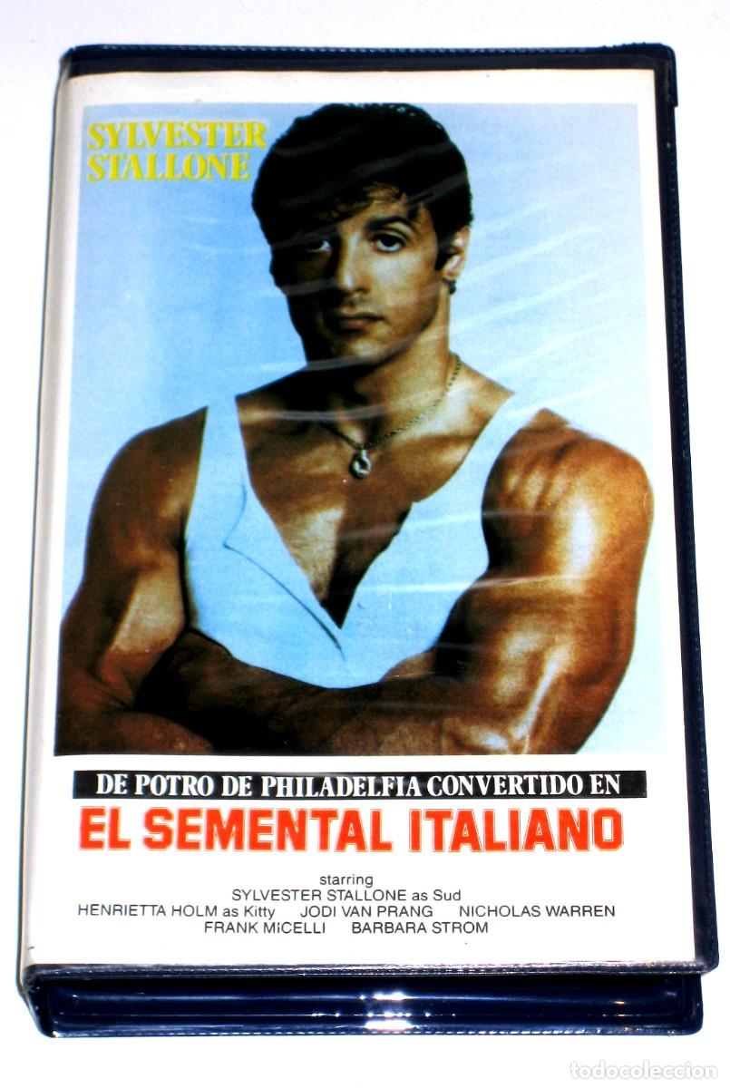 Cine: El Semental Italiano (1970) - Morton M. Lewis Sylvester Stallone Henrietta Holm Jodi Van Prang VHS