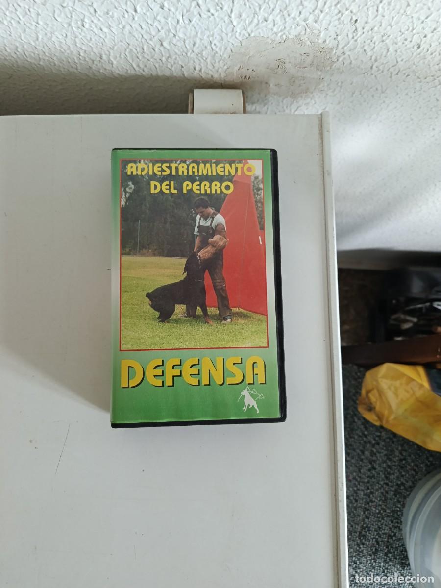 Cine: video adiestramiento del perro para defensa