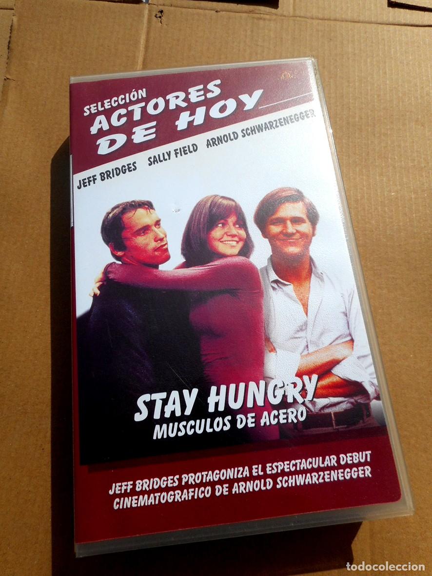 Cine: STAY HUNGRY M&Uacute;SCULOS DE ACERO (VHS) ARNOLD SCHWARZENEGGER