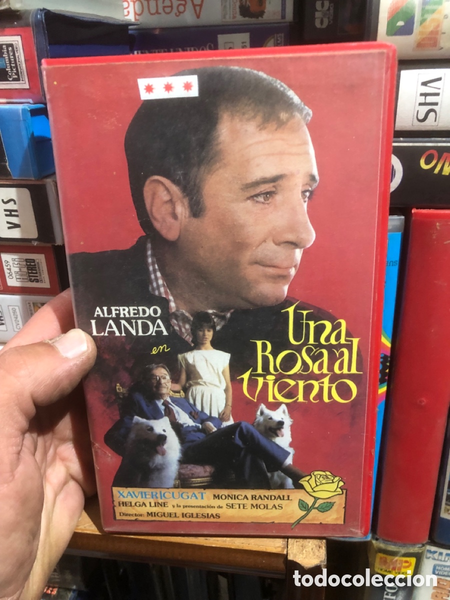 Cine: VHS V&Iacute;DEO CLUB UNA ROSA AL VIENTO