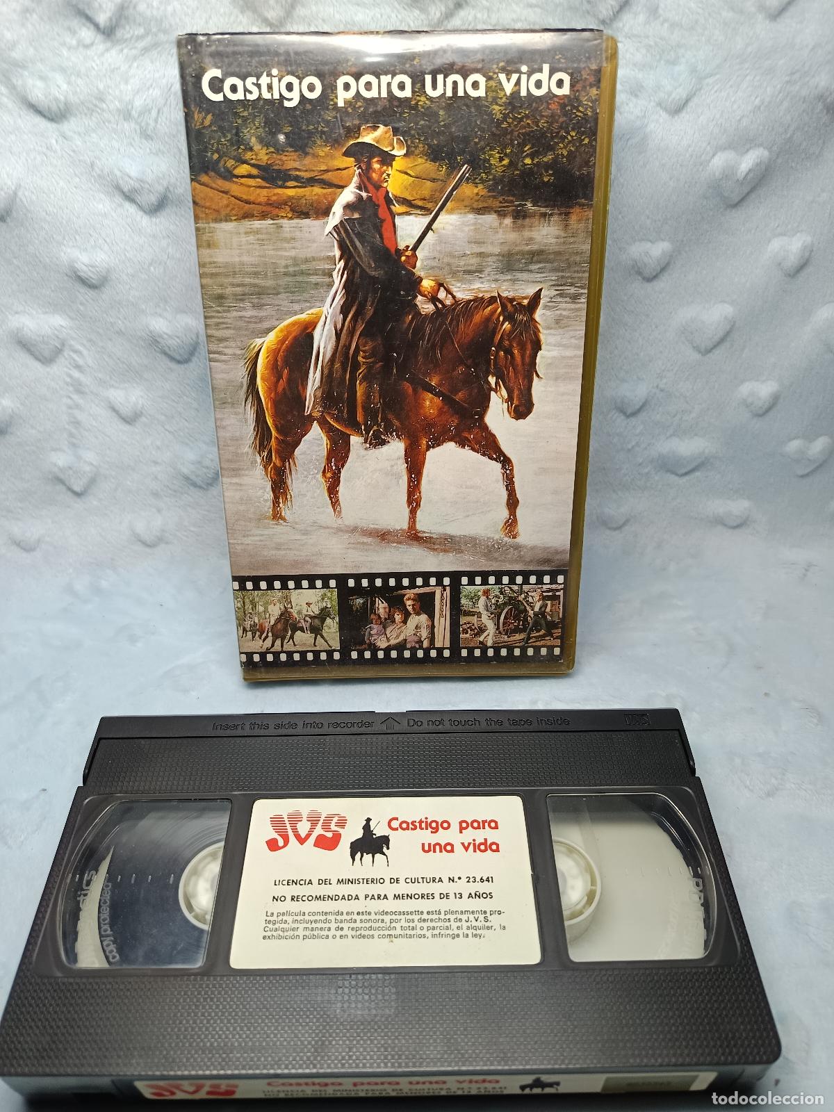 Cine: CASTIGO PARA UNA VIDA &bull; Rod Stewart &bull; Jack Grant, Monica Ellis &bull; Western &bull; VHS
