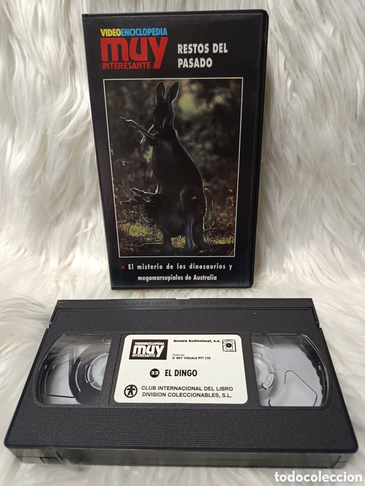 Cine: VHS Resto del pasado N&ordm; 26 Muy Interesante