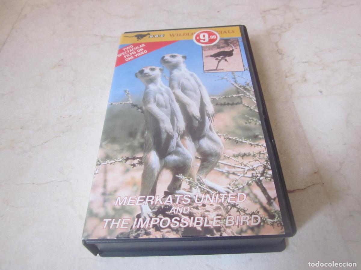 Cine: MEERKATS UNITED AND THE IMPOSSIBLE BIRD VHS - BBC WILDLIFE SPECIALS 1987