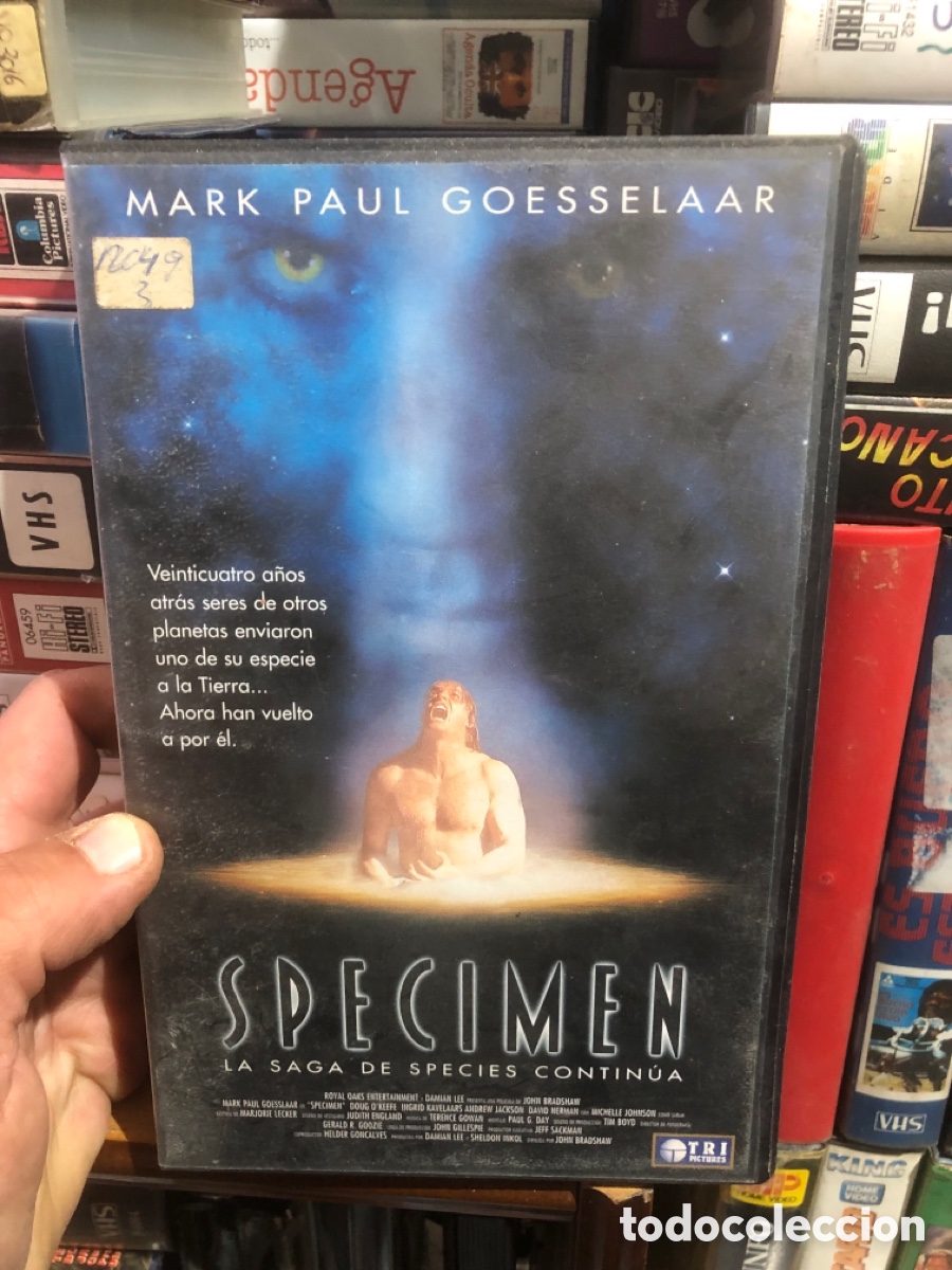 Cine: VHS V&Iacute;DEO CLUB SPECIMEN