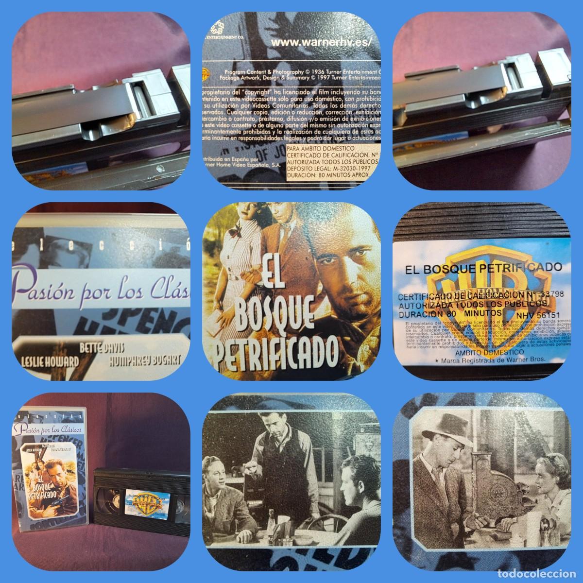 Cine: VHS &ndash; EL BOSQUE PETRIFICADO (The Petrified Forest,1936).ARCHIE MAYO
