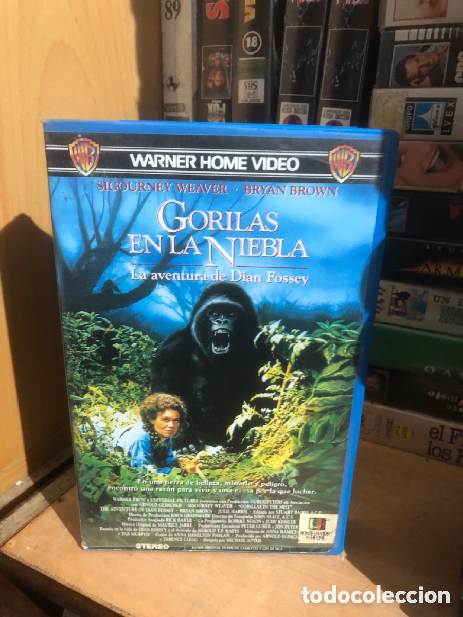 Cine: VHS V&Iacute;DEO CLUB GORILAS EN LA NIEBLA
