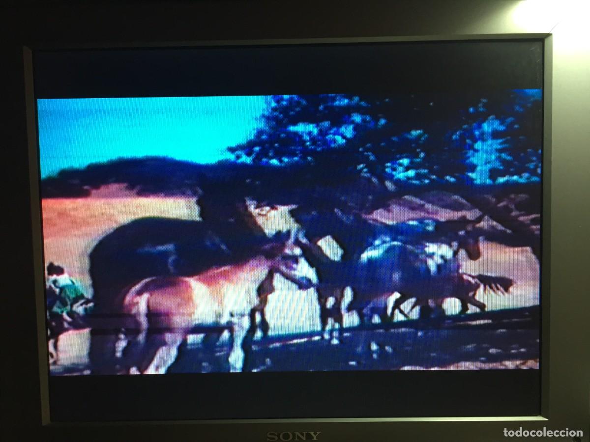 Cine: Vhs Duelo al sol - wester - Foto 13