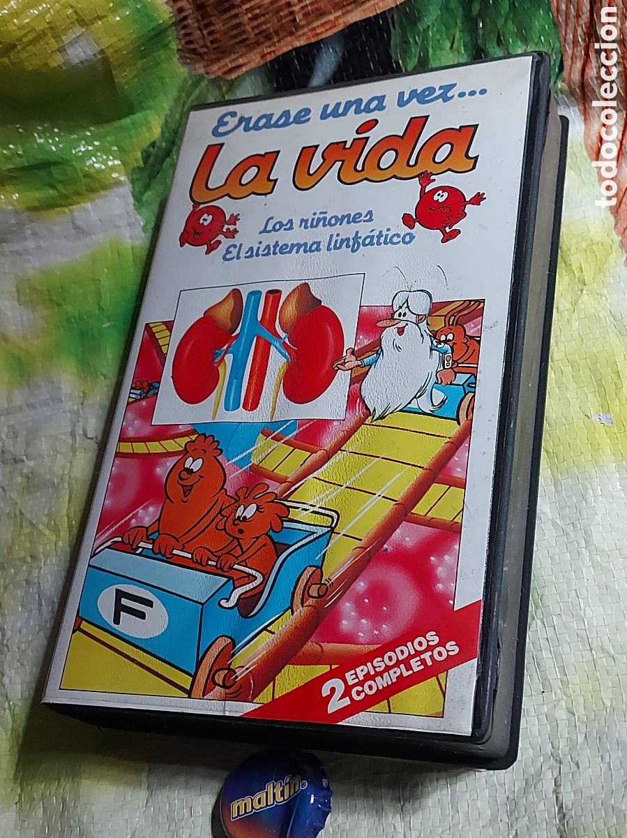 Cine: LA VIDA LOS RI&Ntilde;ONES EL SISTEMA LINFATICO