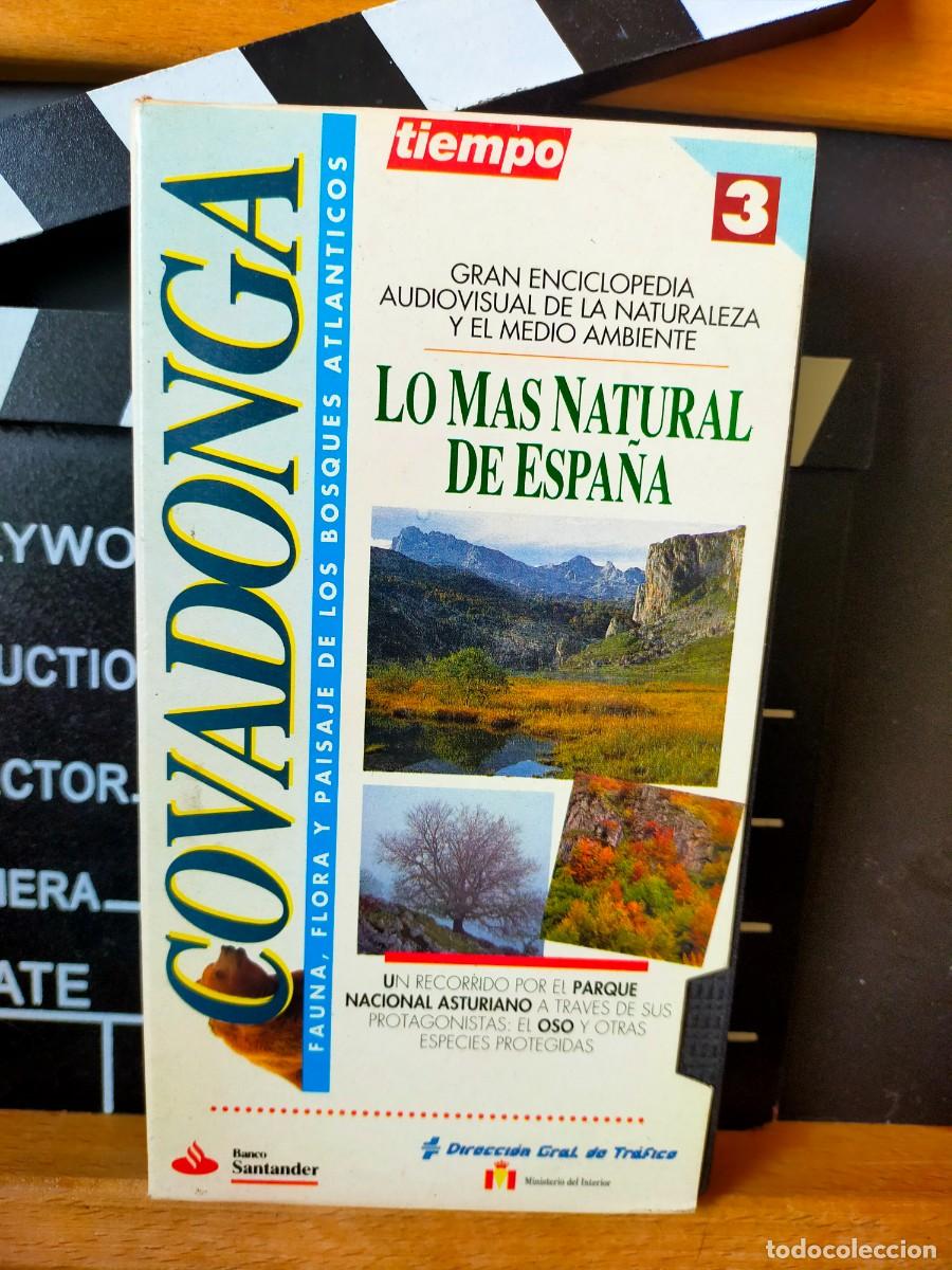 Cine: COVADONGA. FAUNA, FLORA Y PAISAJE DE LOS BOSQUES ATL&Aacute;NTICOS. EDICIONES TIEMPO. N&ordm; 3. DGT. 1993