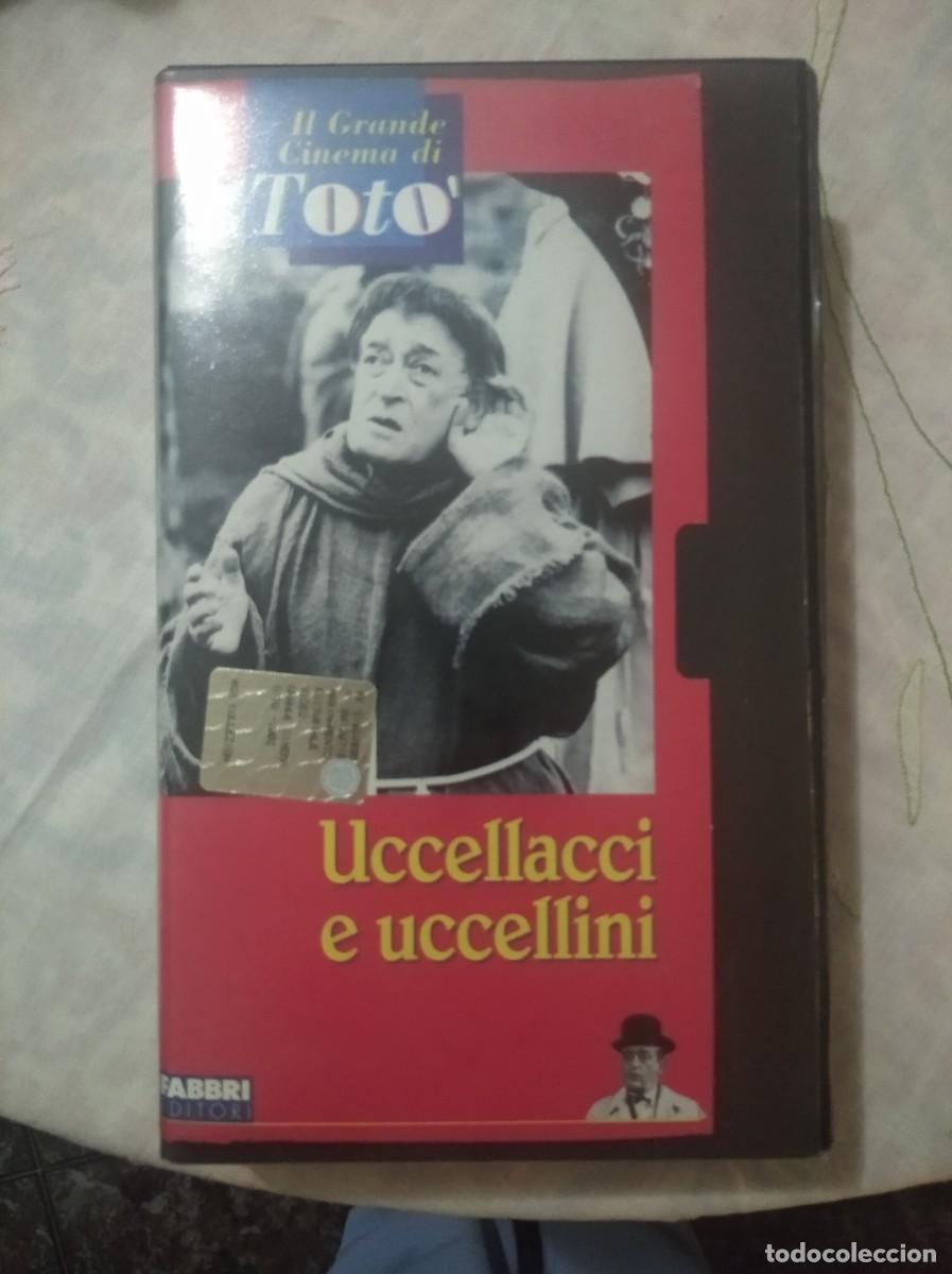 Cine: PAJARITOS Y PAJARRACOS VHS ITALIANO