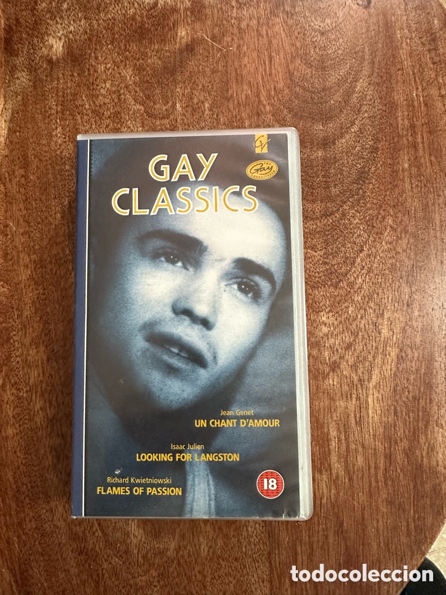 Cine: VHS Gay Classics Un Chant d&rsquo;amour Looking for Langston Flames of passion