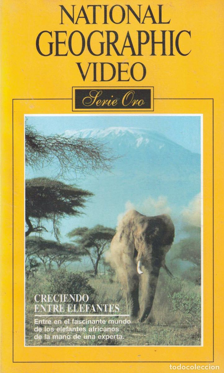 Cine: VHS - CRECIENDO ENTRE ELEFANTES - NATIONAL GEOGRAPHIC VIDEO - SERIE ORO N&ordm; 30