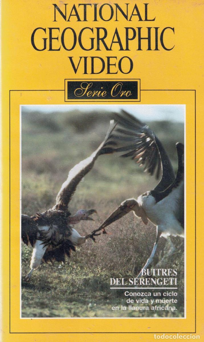 Cine: VHS - BUITRES DEL SERENGETI - NATIONAL GEOGRAPHIC VIDEO - SERIE ORO N&ordm; 7