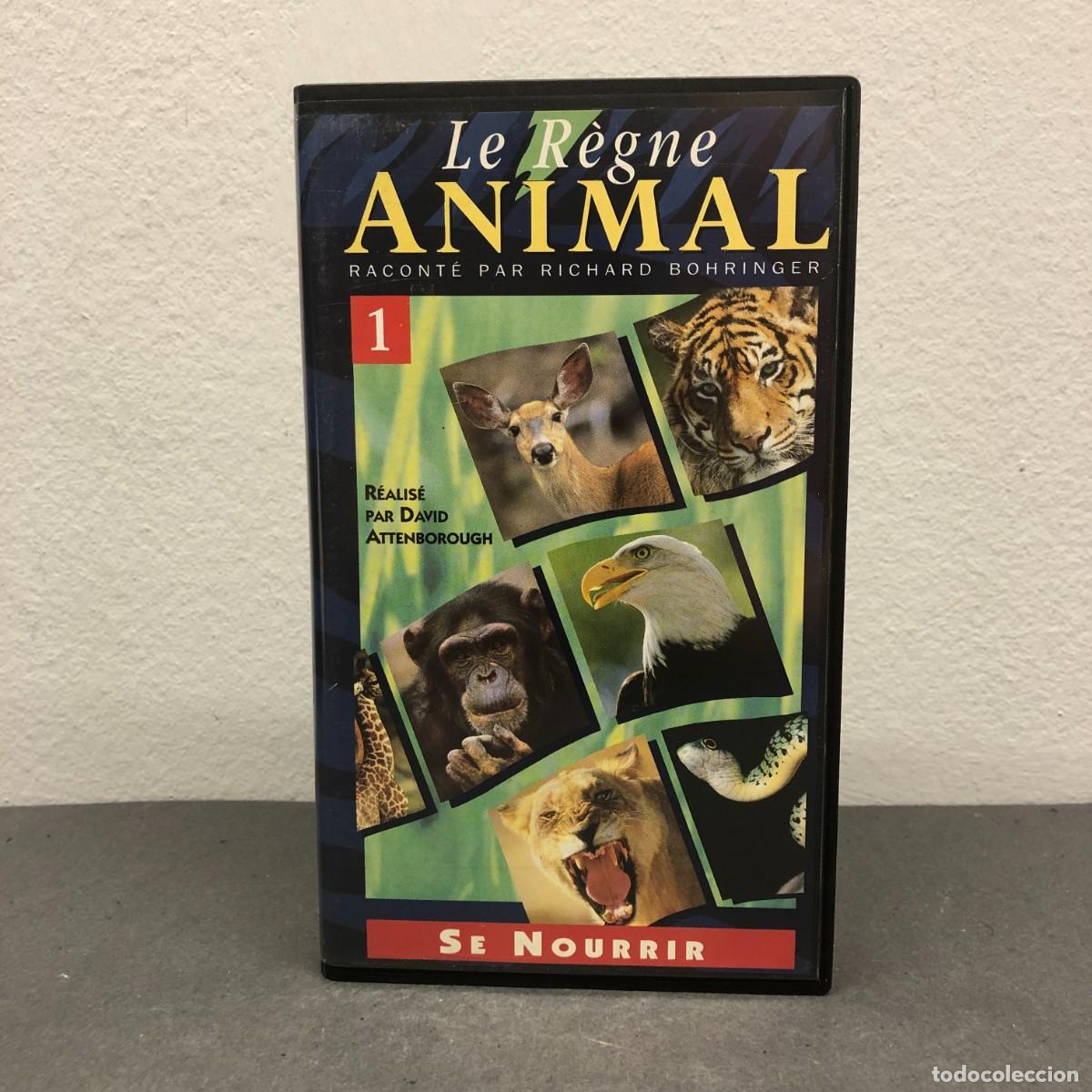 Cine: LE R&Egrave;GNE ANIMAL - RICHARD BOHRINGER - SE NOURRIR - N&ordm; 1 - VHS - MC VID&Eacute;O - 52 MIN. - 1994 / 791