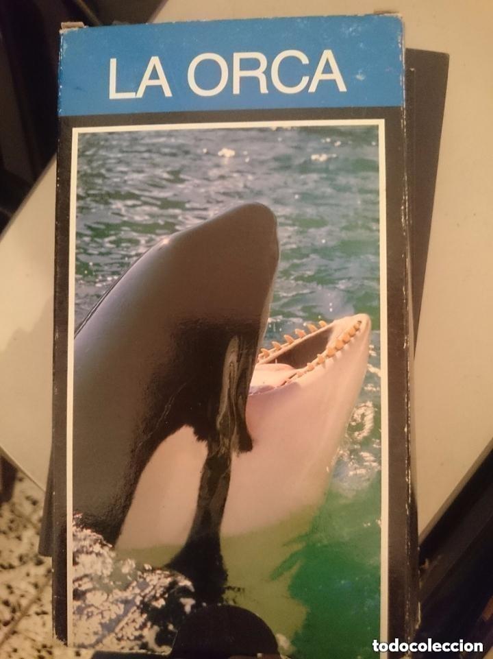 Cine: VHS - LA ORCA - A&Ntilde;O 1989 -VENIA DE REGALO CON LIBROS ENCICLOPEDIA DE LA FAUNA DE FELIX RODRIGUEZ