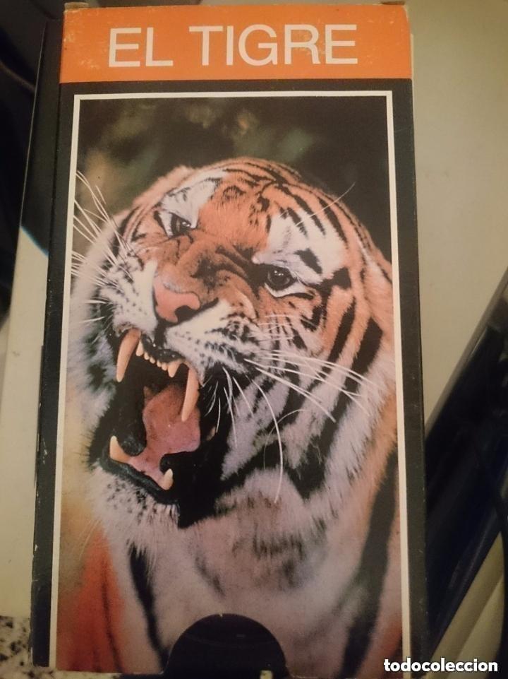 Cine: VHS - EL TIGRE -- DOCUMENTAL - A&Ntilde;O 1989 . VENIA DE REGALO CON LIBROS ENCICLOPEDIA DE LA FAUNA