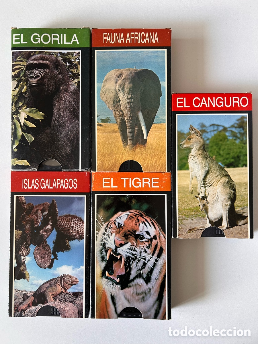 Cine: 5 VHS Enciclopedia Salvat de la Fauna