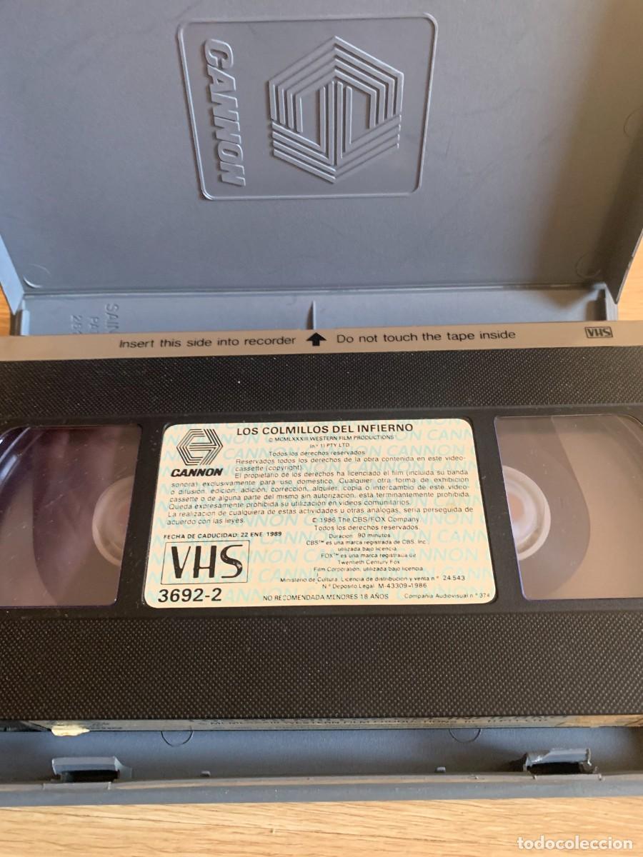 Cine: VHS. LOS COLMILLOS DEL INFIERNO. - Foto 2